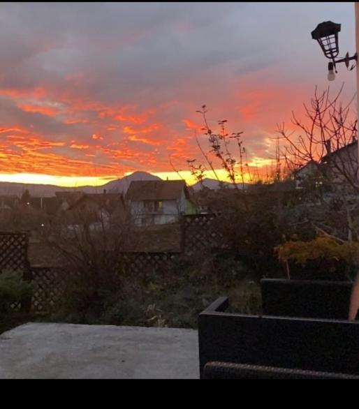 Appartamento Mala Oaza Čačak Esterno foto